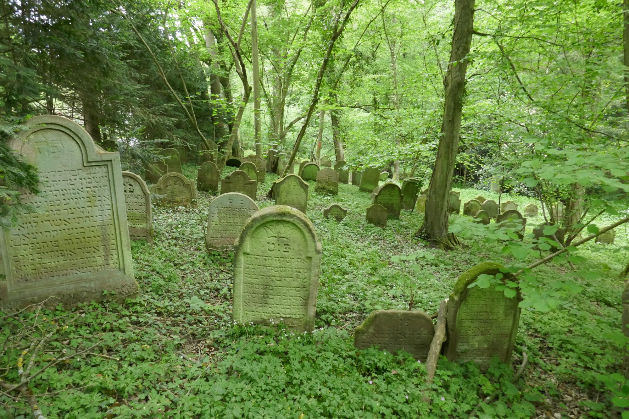 Der jüdische Friedhof in Hemsbach (RheinNeckarKreis)
